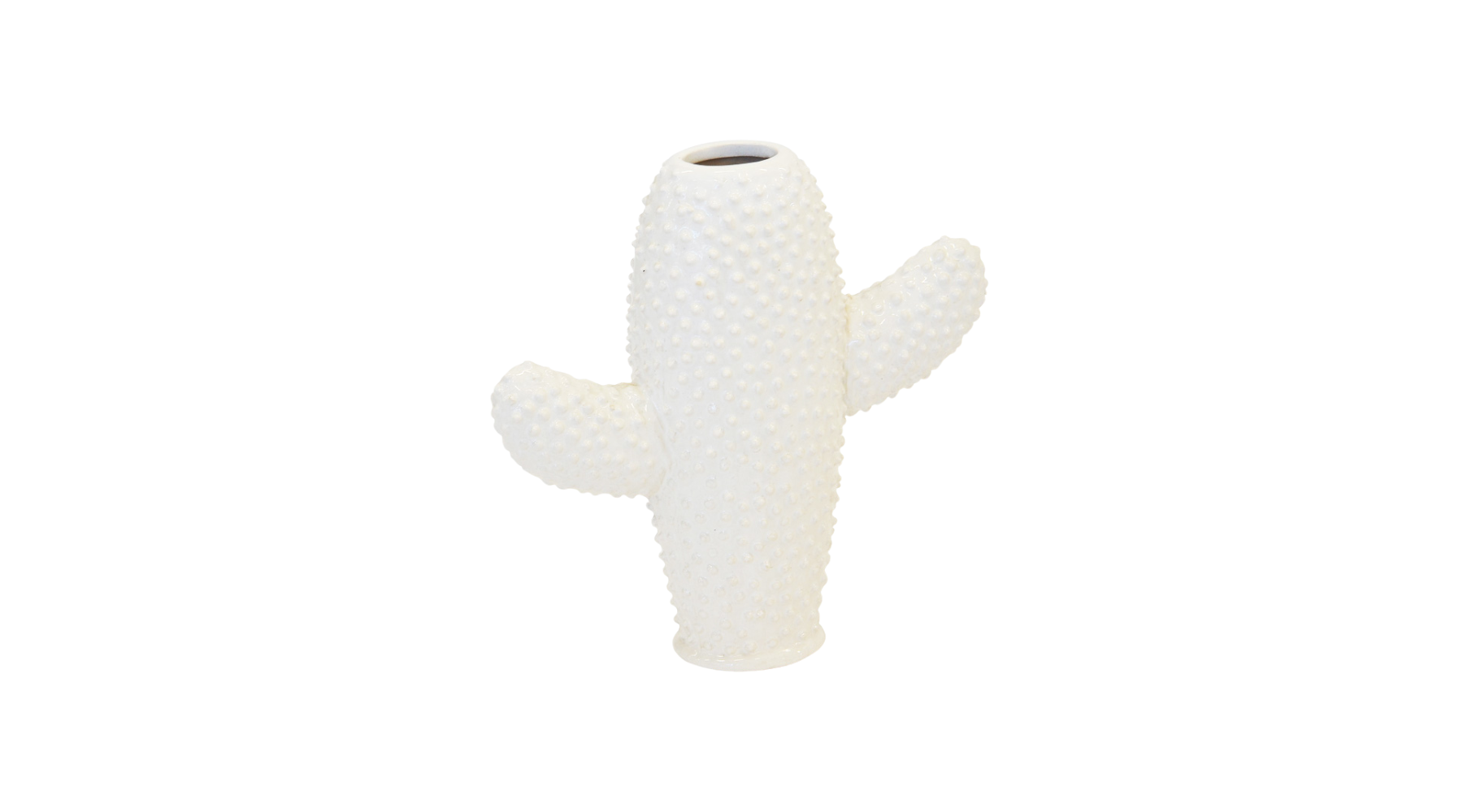 Cactus Vase Small