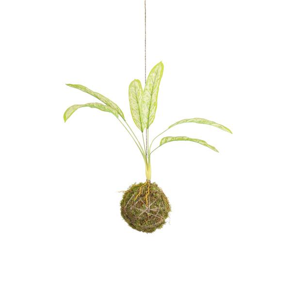 Kokedama Hanging Leaf